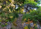 2018 08-IMG 4081 : Cavtat